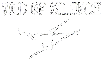 Void Of Silence