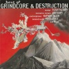 Best Of Grindcore & Destruction