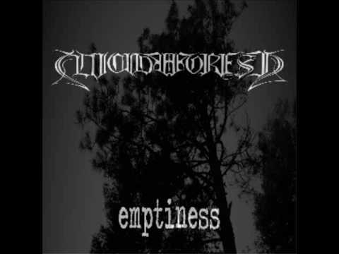 Emptiness (demo)