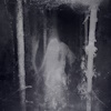 Enshrouded by the Veil of Night (digital)