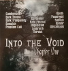 Into The Void - Chapter One