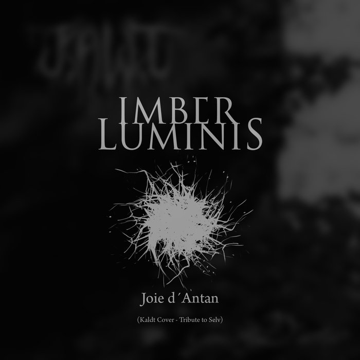 Imber Luminis - Joie d'antan (digital)
